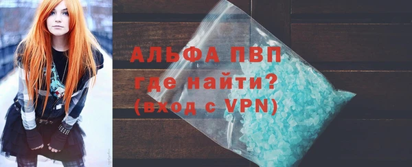 стаф Алексин