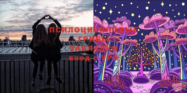 герыч Алзамай