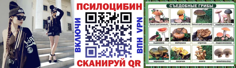 Галлюциногенные грибы мицелий  что такое   Шелехов 